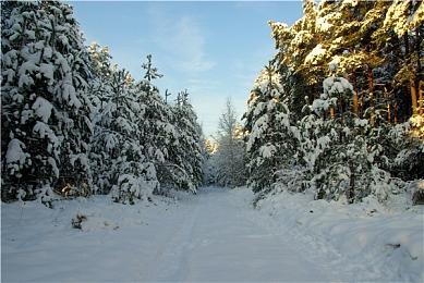 《拳皇13：全球大赛》新预告发布 11月16日发售